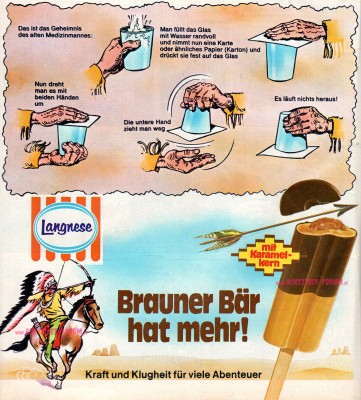 Brauner Bär 1977.jpg