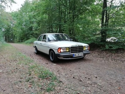 W123 230E Bj1981 von Chris Dagford.jpg