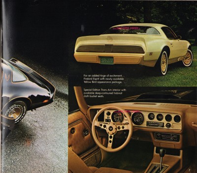Pontiac 1980 07.jpg