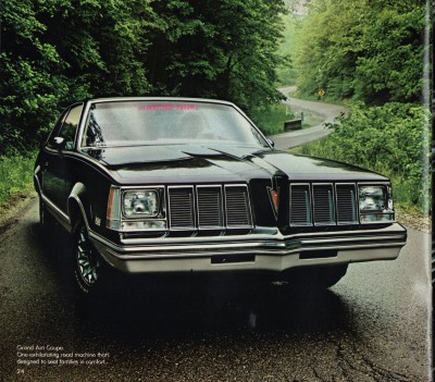 Pontiac 1980 22.jpg