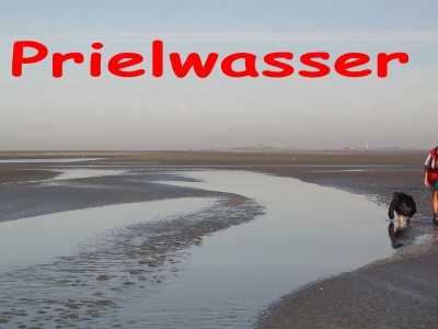 Prielwasser.jpg