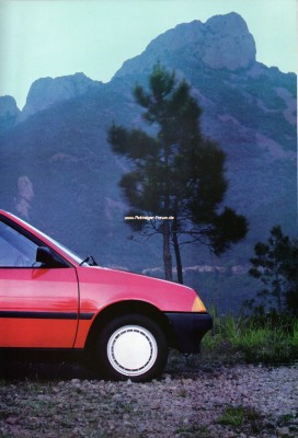 Citroen AX 30.jpg